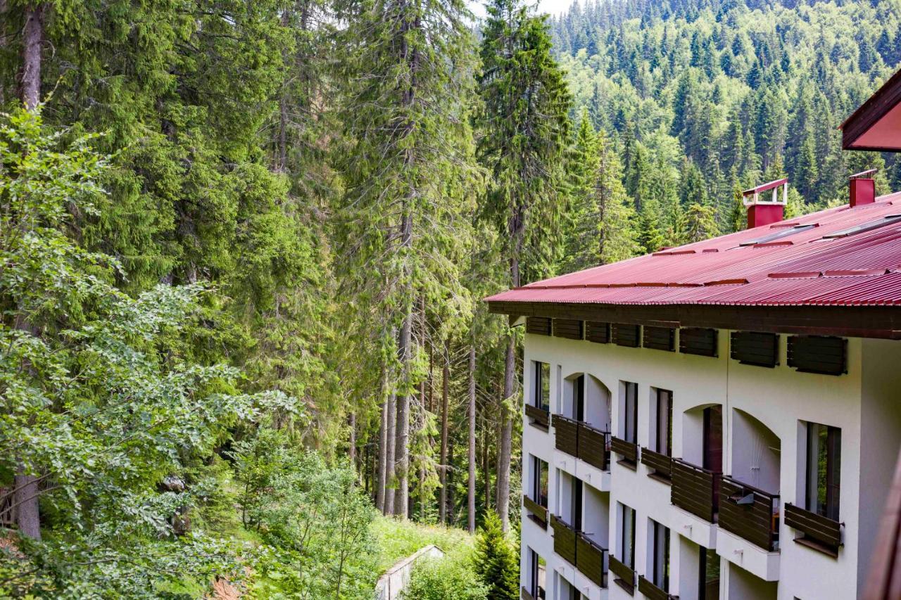 Forest Dream Apartment - Elit Pamporovo Ngoại thất bức ảnh