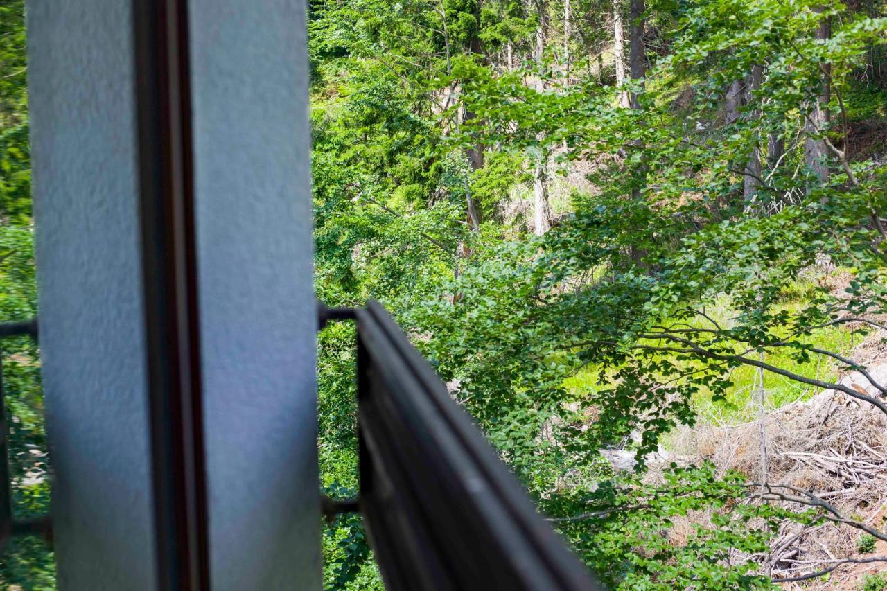 Forest Dream Apartment - Elit Pamporovo Ngoại thất bức ảnh