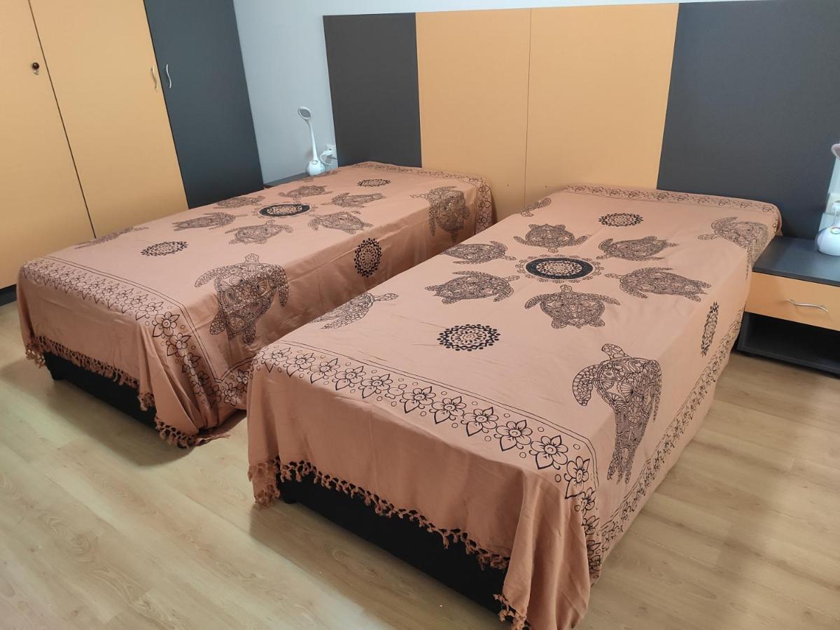 Forest Dream Apartment - Elit Pamporovo Ngoại thất bức ảnh