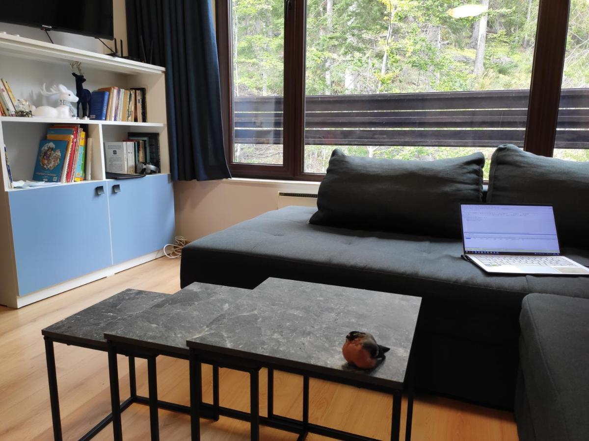 Forest Dream Apartment - Elit Pamporovo Ngoại thất bức ảnh