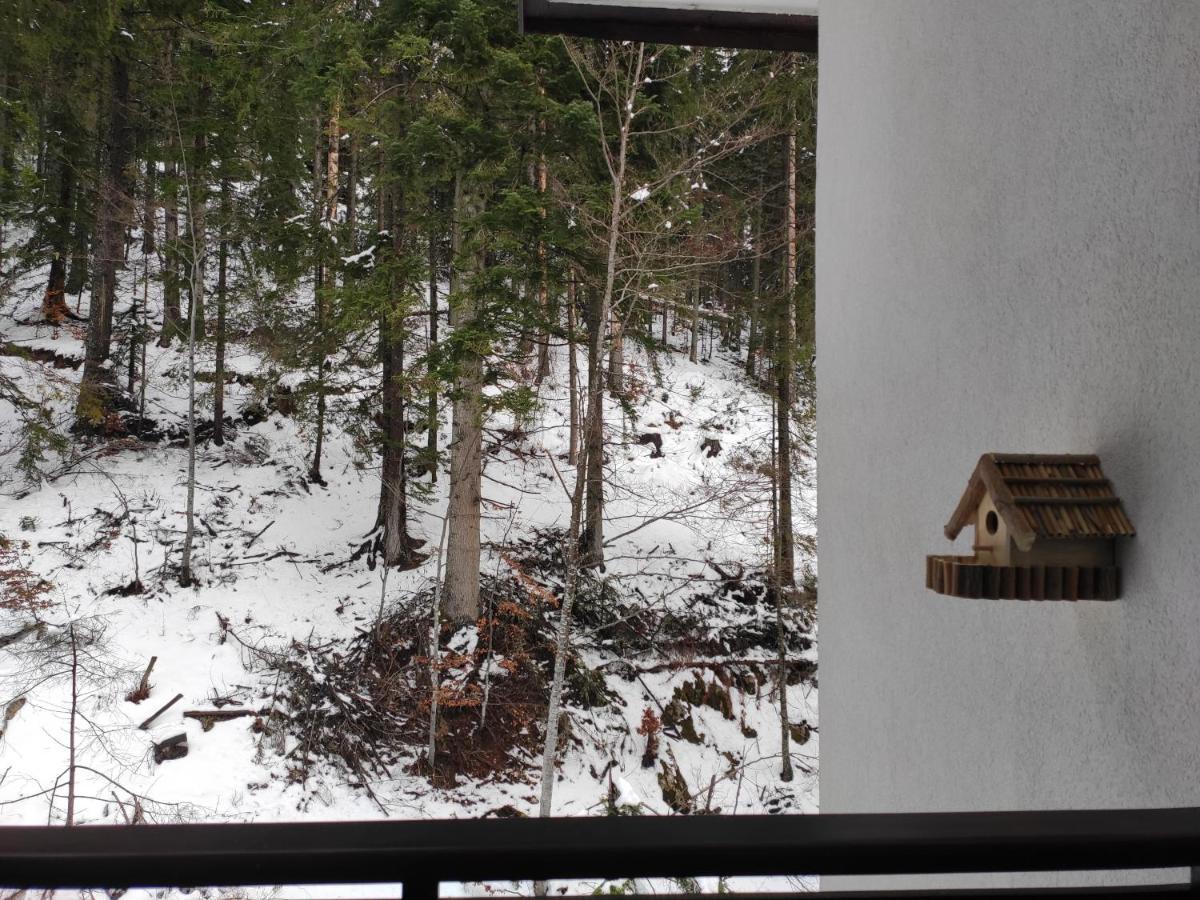 Forest Dream Apartment - Elit Pamporovo Ngoại thất bức ảnh